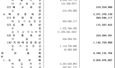 제 22기 결산 공고