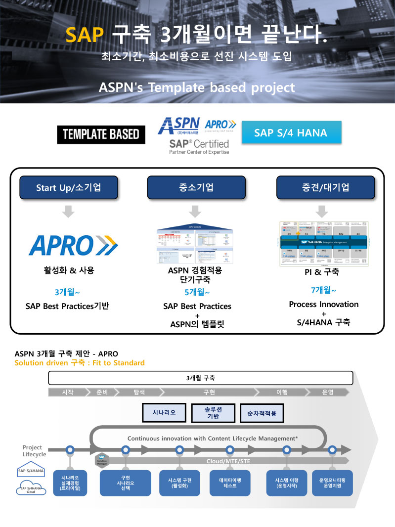 SAP 구축 3개월이면 끝난다.